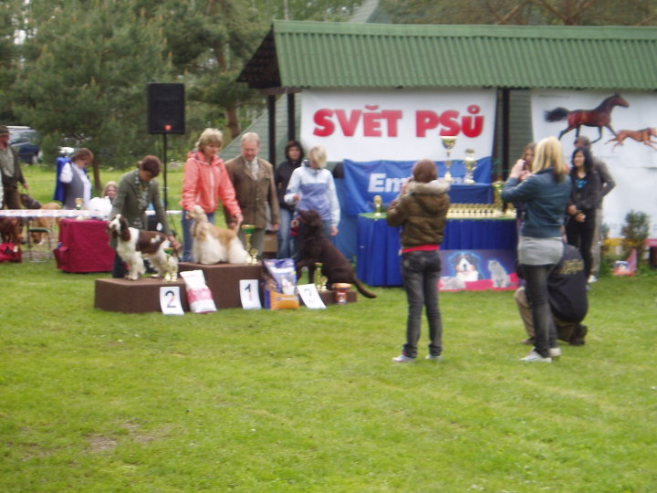 29315_390537352478_733122478_4130729_6874487_n