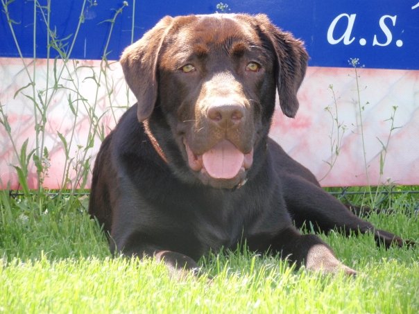 n733122478_1277518_7563