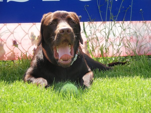 n733122478_1277519_7825