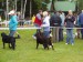 29315_390537202478_733122478_4130712_4826211_n