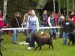 29315_390537227478_733122478_4130714_3853945_n